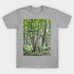 Trees in the forest, nature T-Shirt